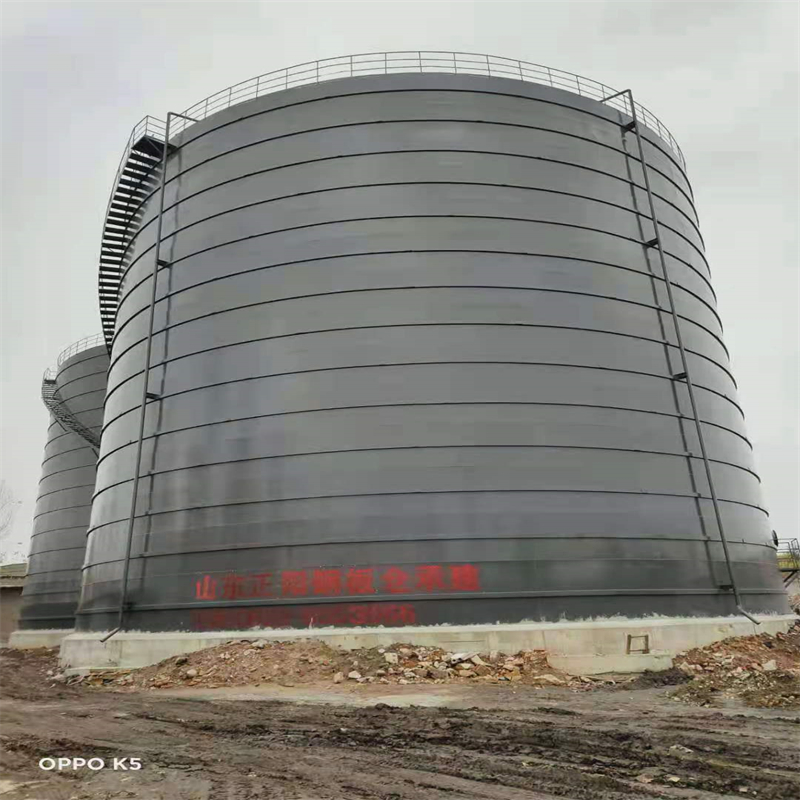 调楼镇3万吨大型钢板库