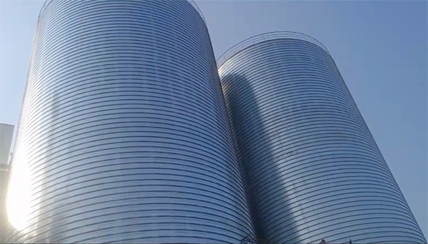 调楼镇2座混凝土高架卷板仓